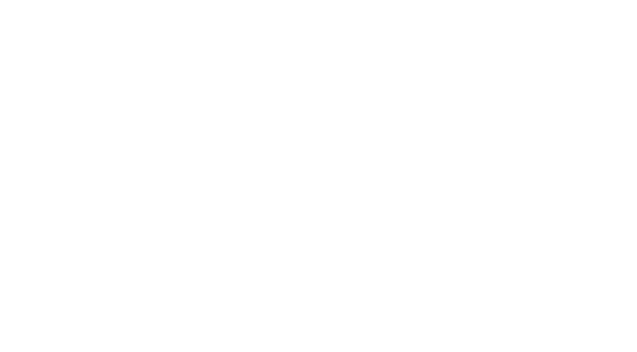 North East Security logo